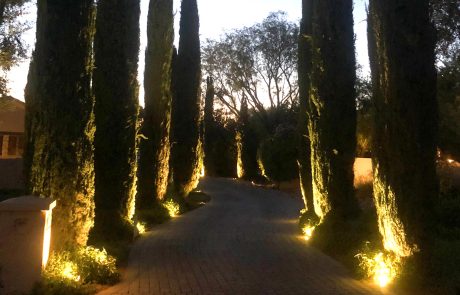 lighting-gallery-image4