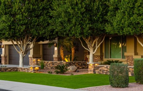 services-image-artificial