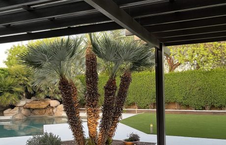 shade-gallery-image1